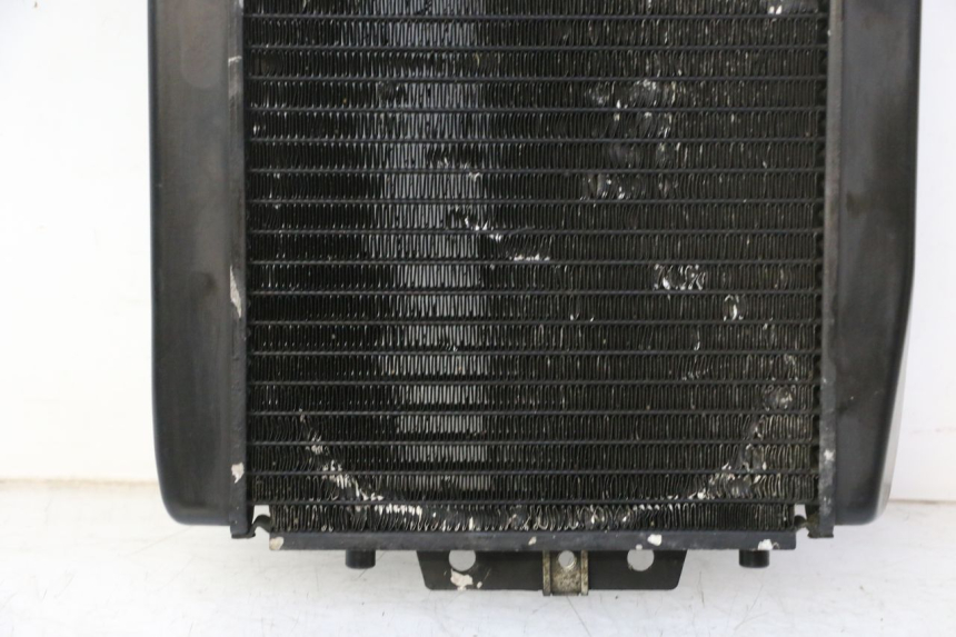 photo de RADIATEUR PIAGGIO MP3 RL 250 (2007 - 2010)