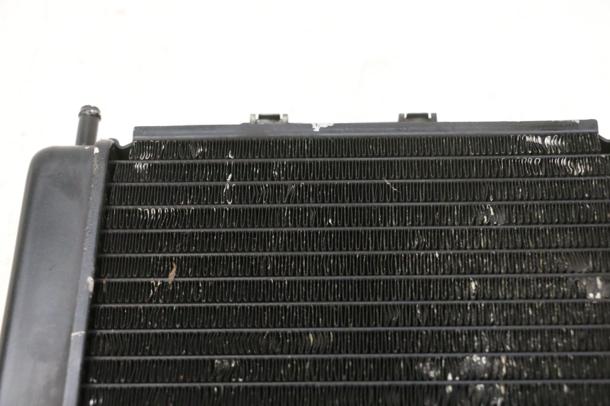 photo de RADIATEUR PIAGGIO MP3 RL 250 (2007 - 2010)