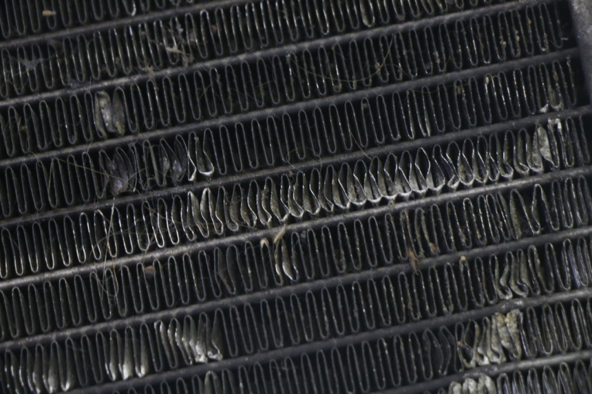 photo de RADIATEUR PIAGGIO MP3 125 (2006 - 2014)