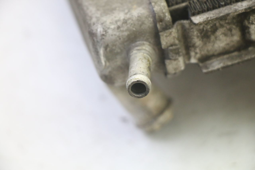 photo de RADIATEUR PIAGGIO MP3 125 (2006 - 2014)