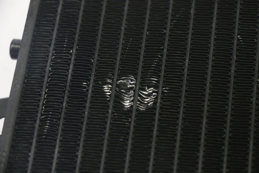 photo de RADIATEUR PIAGGIO MP3 RL 250 (2007 - 2010) - Détail de la pièce