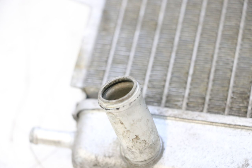 photo de RADIATEUR PIAGGIO MP3 125 (2006 - 2014) - Gros plan technique