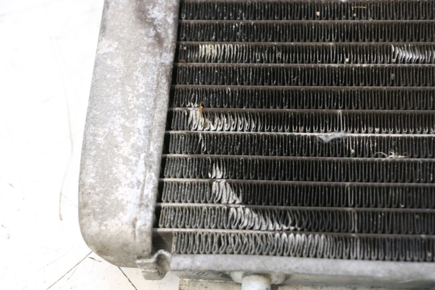 photo de RADIATEUR PIAGGIO MP3 125 (2006 - 2014) - État de surface