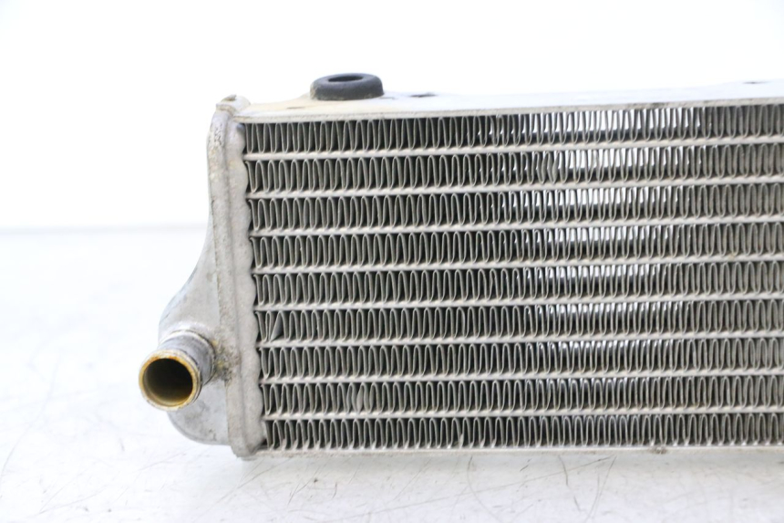 photo de RADIATEUR RIEJU MRT PRO SUPERMOTARD 50 (2007 - 2018) - Zoom état d’usage