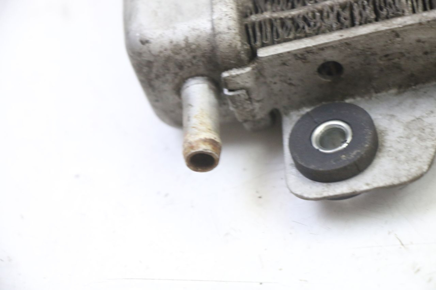 photo de RADIATEUR GILERA NEXUS 125 (2009 - 2013)