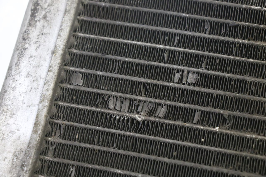 photo de RADIATEUR GILERA NEXUS 125 (2009 - 2013)