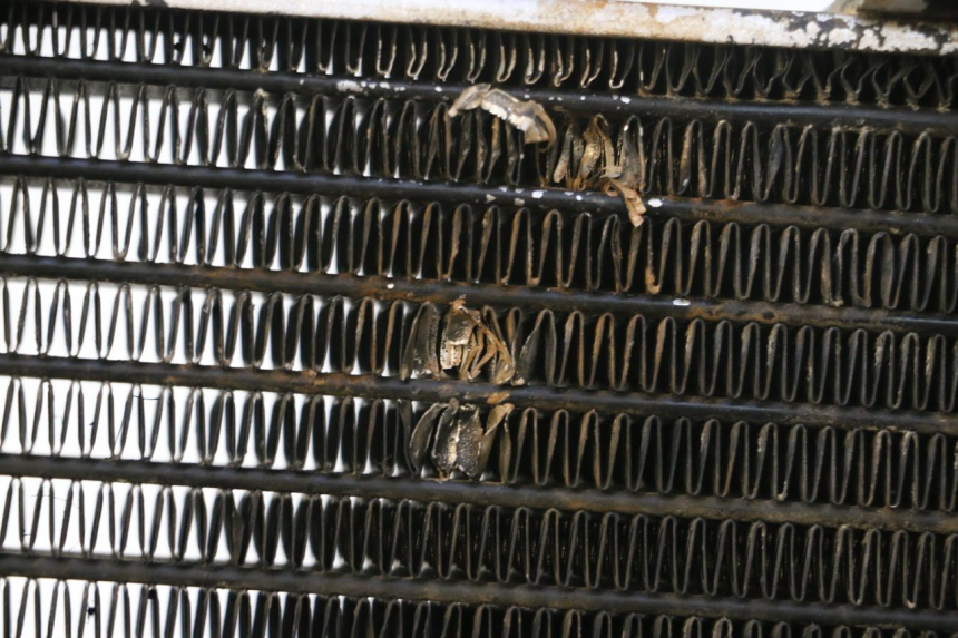 photo de RADIATEUR MBK NITRO 50 (2004 - 2008) - Détail de la pièce
