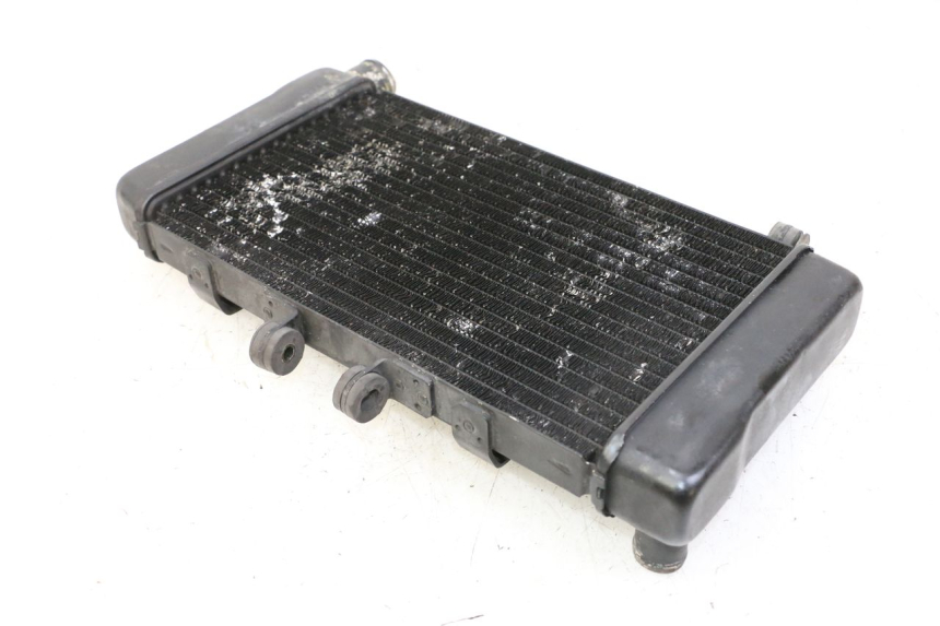photo de RADIATEUR HONDA NTV DEAUVILLE 650 (2001 - 2006)