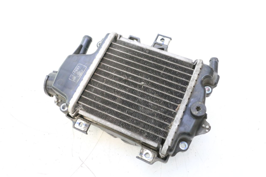 photo de RADIATEUR HONDA PCX (JF28) 125 (2009 - 2011) - Vue principale