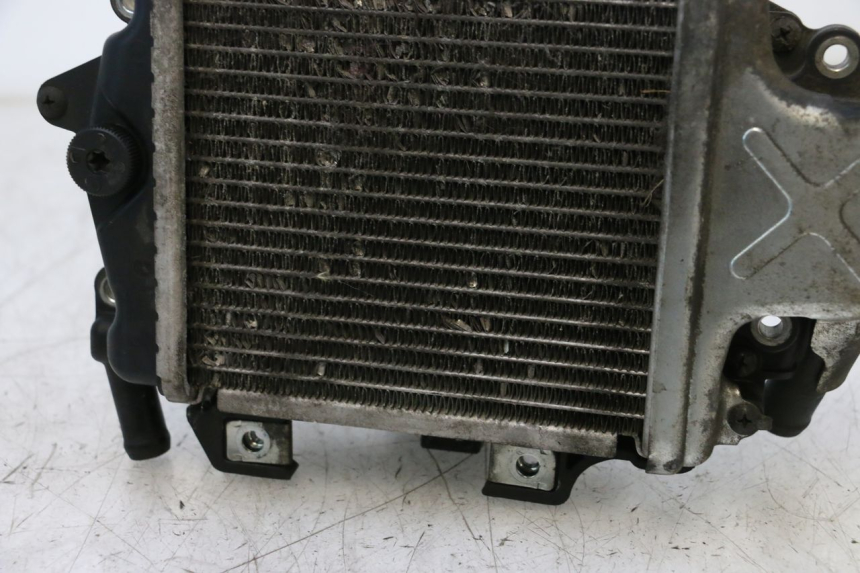 photo de RADIATEUR HONDA PCX (JF57/JF64) 125 (2014 - 2018) - Marquages et références