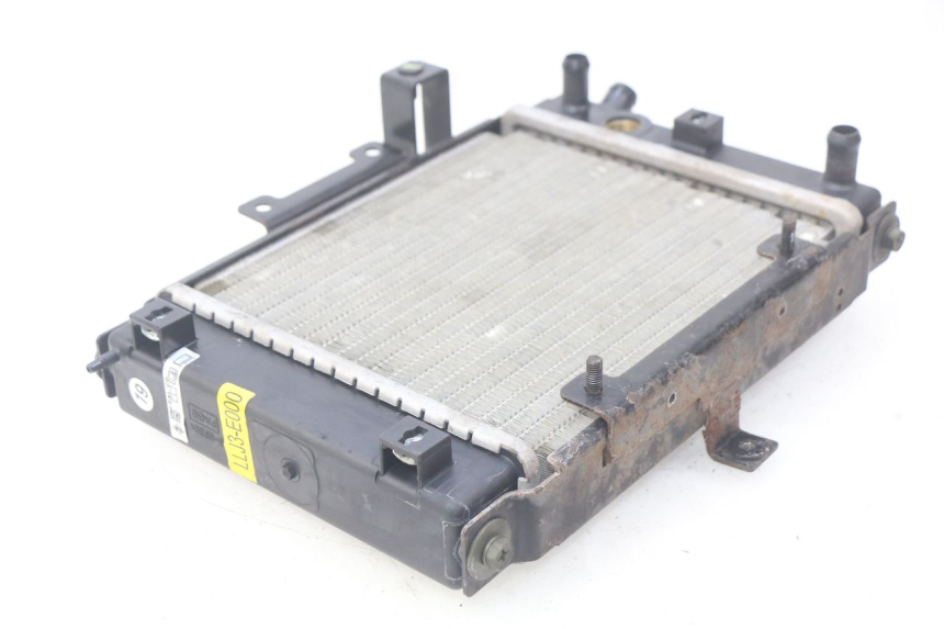 photo de RADIATEUR KYMCO PEOPLE 250 (2004 - 2008) - Points de fixation