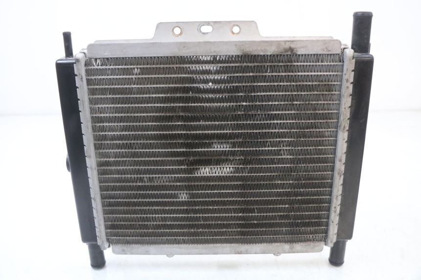 photo de RADIATEUR PEUGEOT GEOPOLIS RS 125 (2007 - 2009)