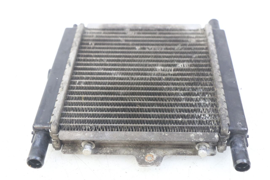 photo de RADIATEUR PEUGEOT SATELIS 125 (2006 - 2009)