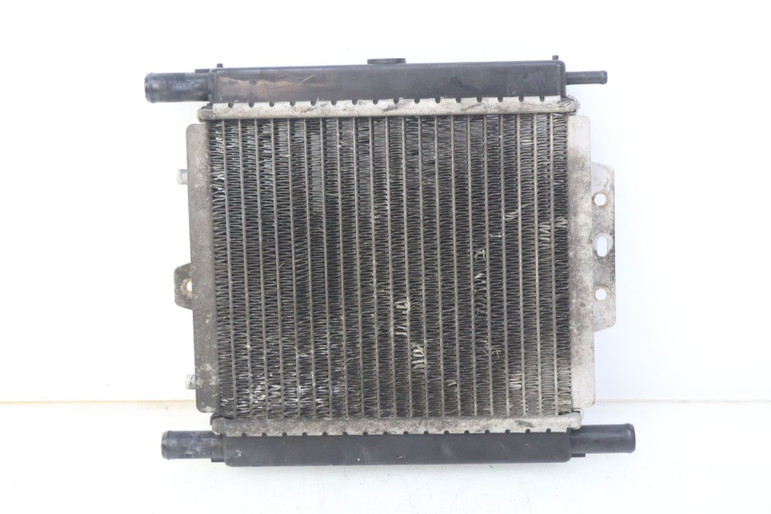 photo de RADIATEUR PEUGEOT SATELIS 125 (2006 - 2009)