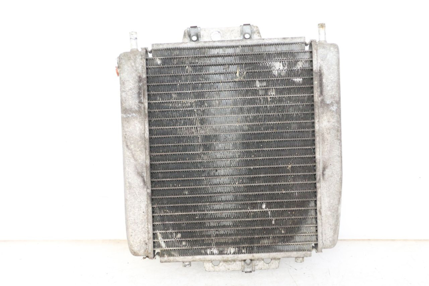 photo de RADIATEUR PIAGGIO MP3 125 (2006 - 2014)