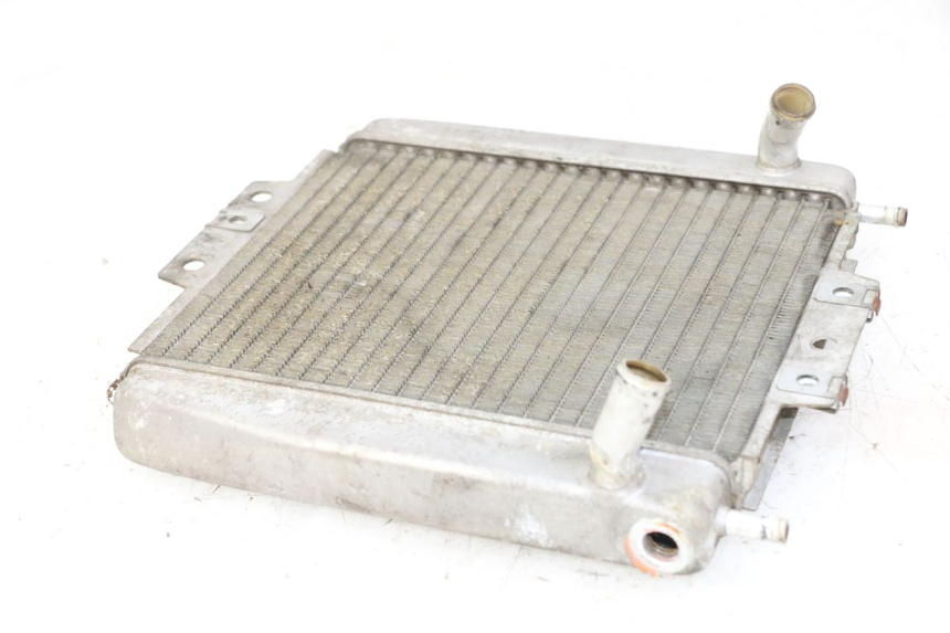 photo de RADIATEUR PIAGGIO MP3 125 (2006 - 2014)