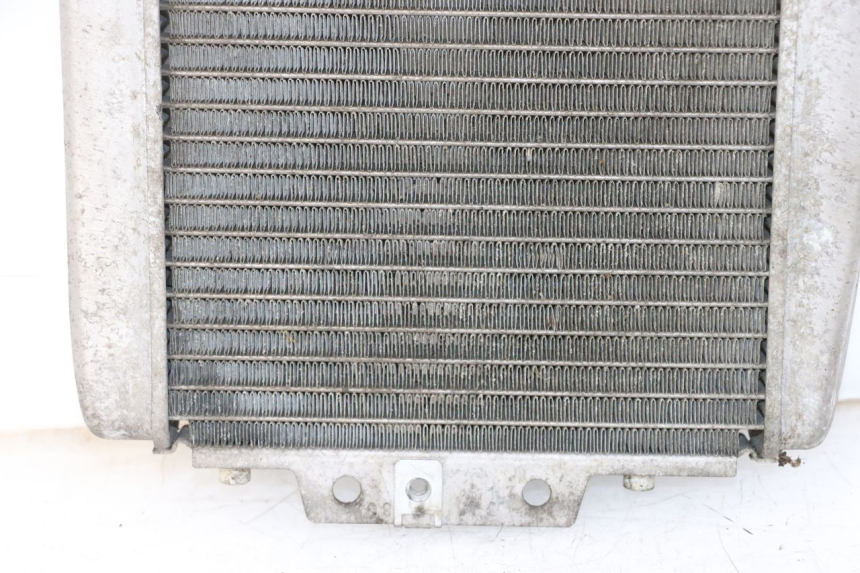 photo de RADIATEUR PIAGGIO MP3 125 (2006 - 2014)