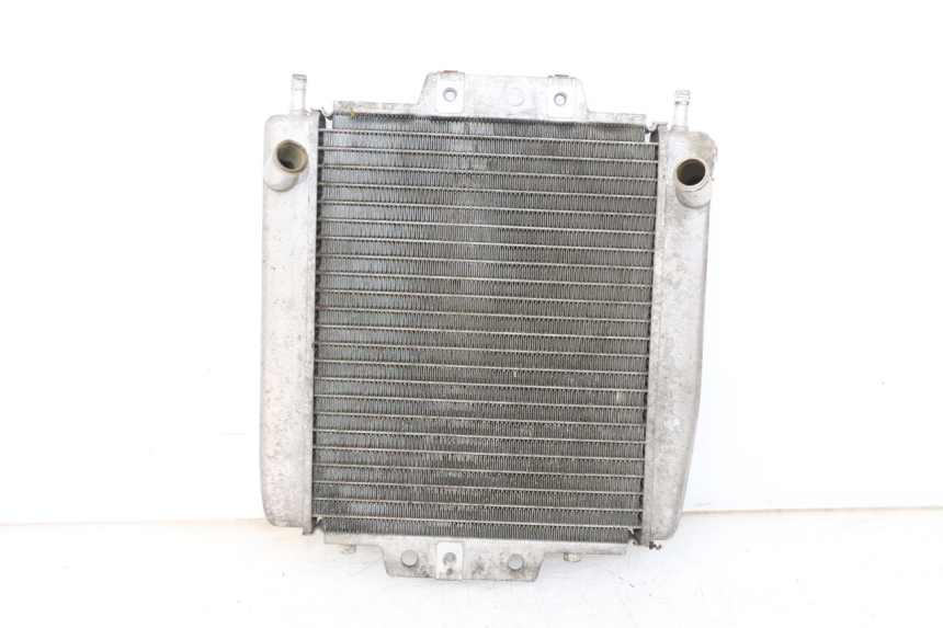 photo de RADIATEUR PIAGGIO MP3 125 (2006 - 2014)