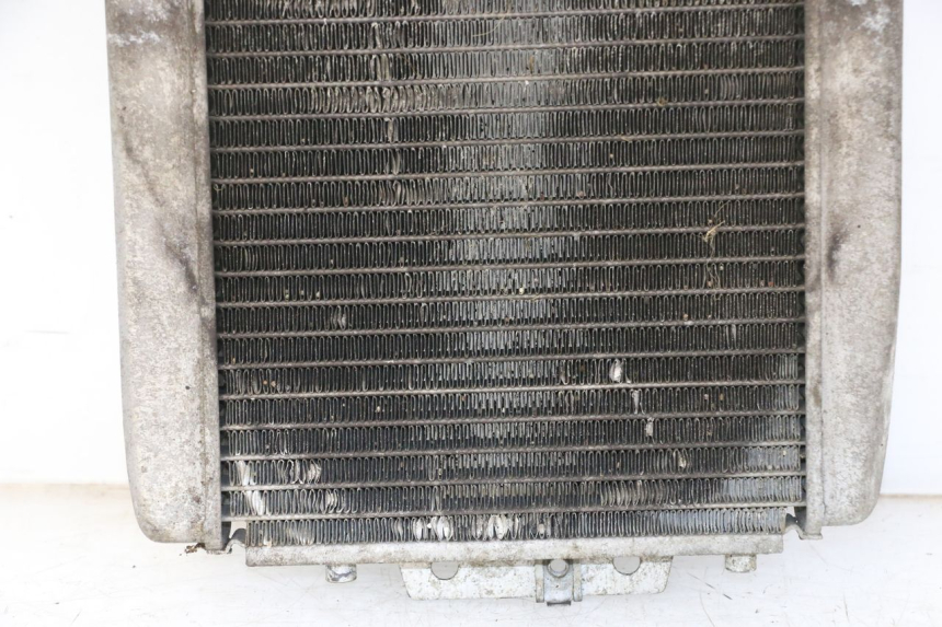 photo de RADIATEUR PIAGGIO MP3 125 (2006 - 2014)