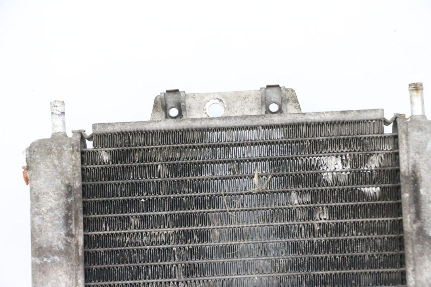 photo de RADIATEUR PIAGGIO MP3 125 (2006 - 2014)