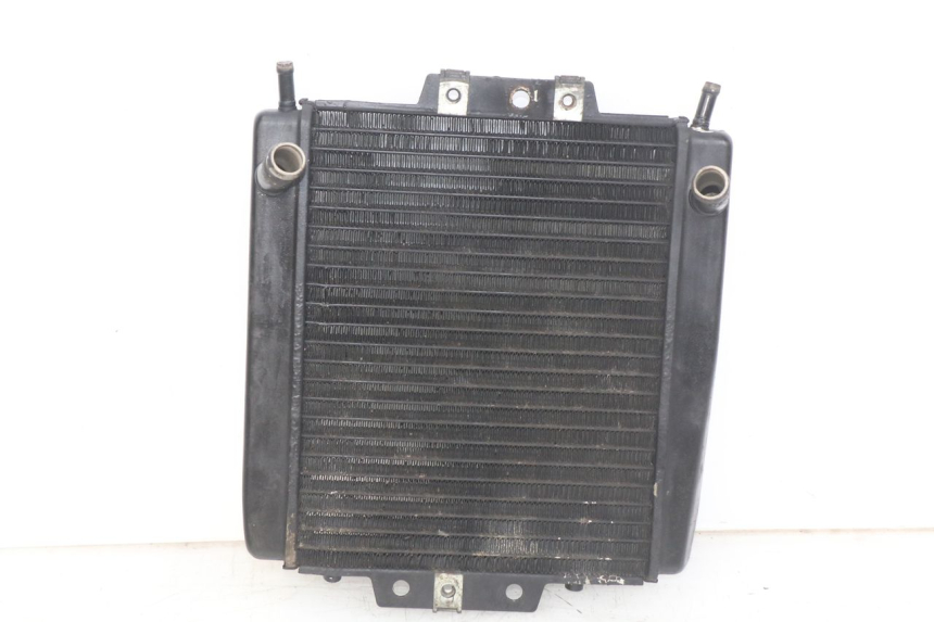 photo de RADIATEUR PIAGGIO MP3 LT 400 (2007 - 2012)