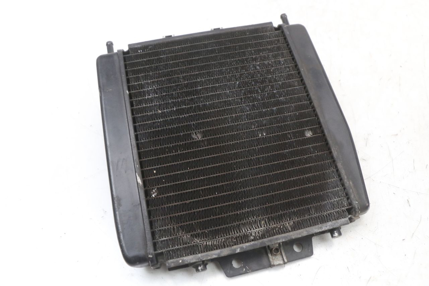 photo de RADIATEUR PIAGGIO MP3 LT 400 (2007 - 2012)