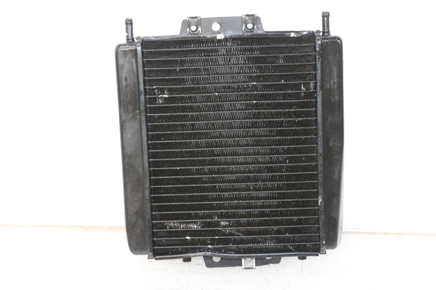 photo de RADIATEUR PIAGGIO MP3 LT 400 (2007 - 2012)