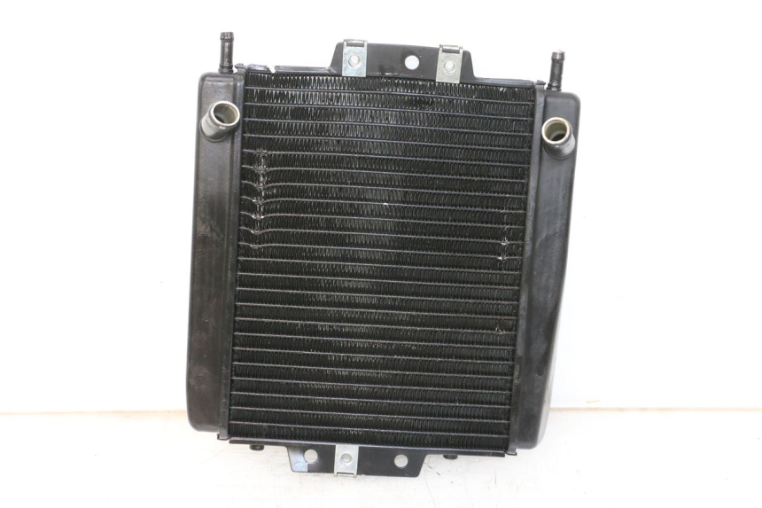 photo de RADIATEUR PIAGGIO MP3 LT 400 (2007 - 2012)