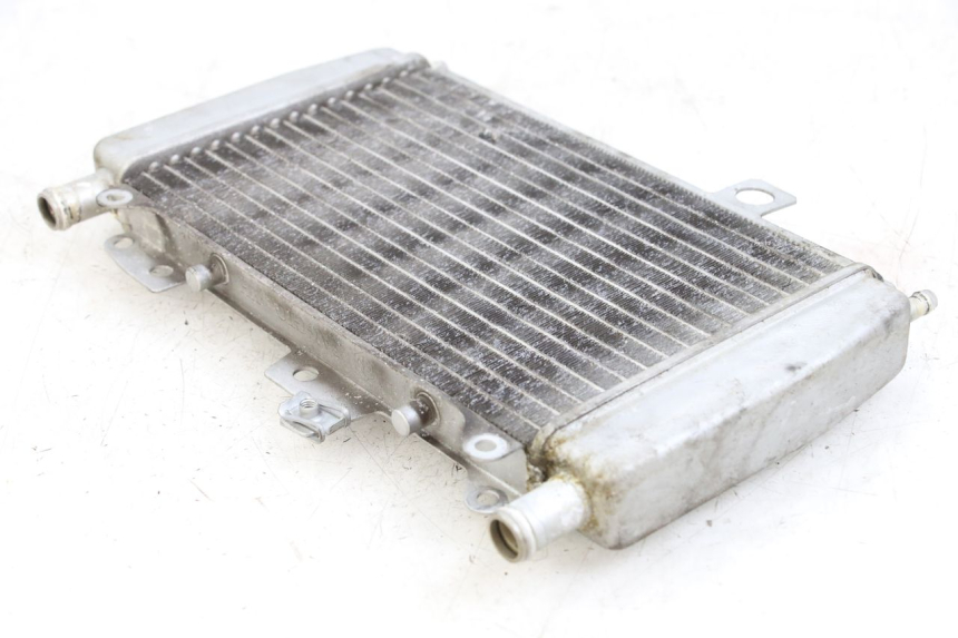 photo de RADIATEUR PIAGGIO X10 125 (2012 - 2017)