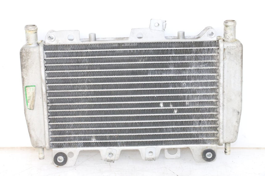 photo de RADIATEUR PIAGGIO X10 125 (2012 - 2017)