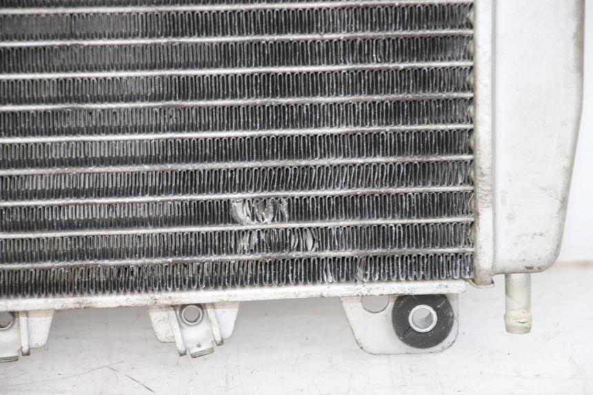 photo de RADIATEUR PIAGGIO X10 125 (2012 - 2017)