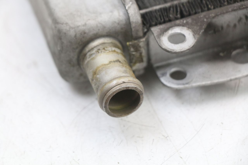 photo de RADIATEUR PIAGGIO X10 125 (2012 - 2017)
