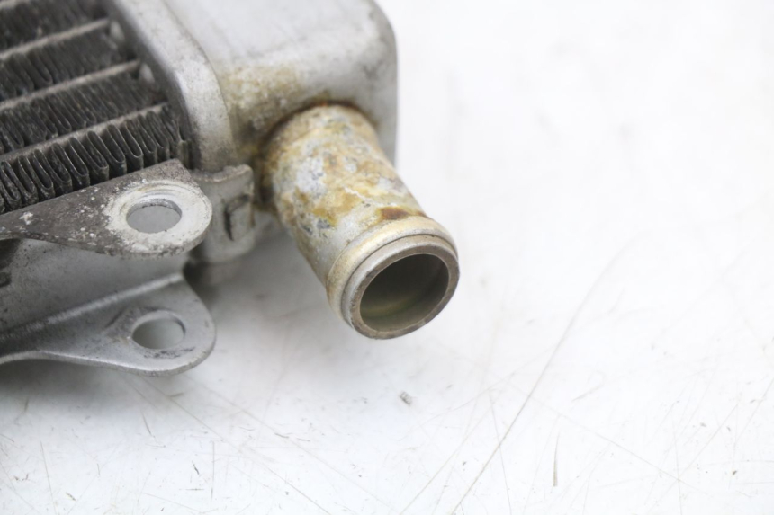 photo de RADIATEUR PIAGGIO X10 125 (2012 - 2017)