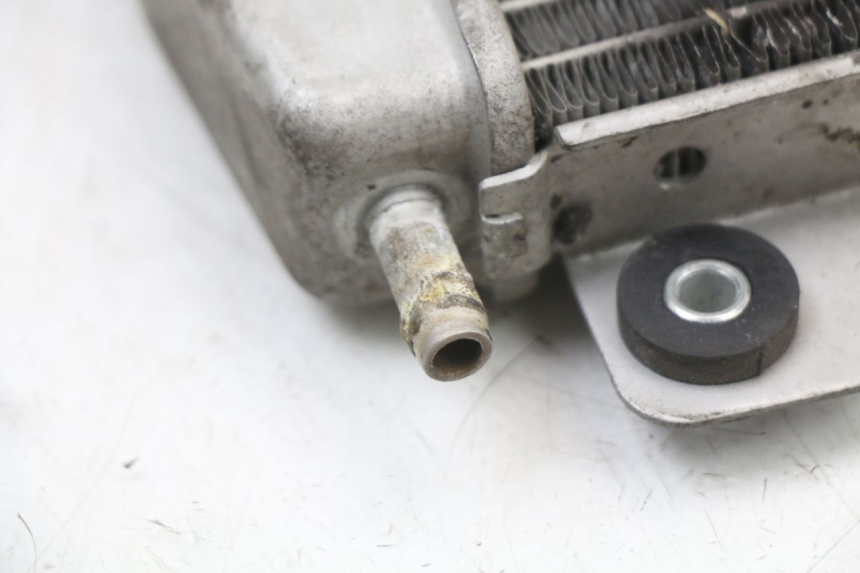 photo de RADIATEUR PIAGGIO X10 125 (2012 - 2017)