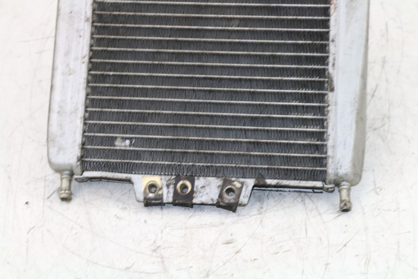 photo de RADIATEUR PIAGGIO X8 125 (2004 - 2007)