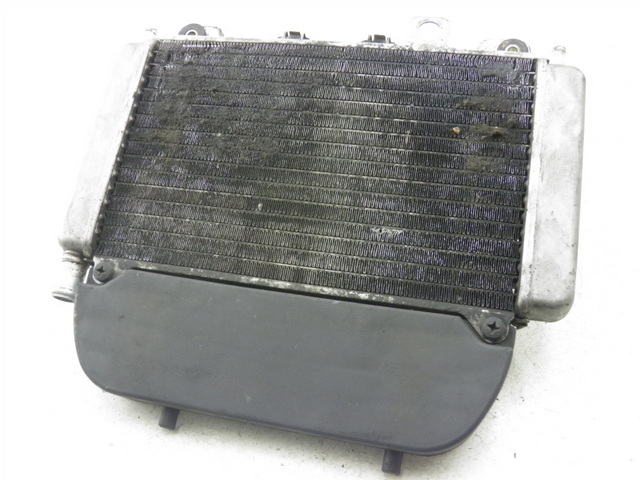 photo de RADIATEUR PIAGGIO X9 250 (2000 - 2002)