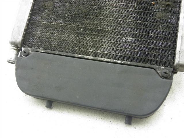 photo de RADIATEUR PIAGGIO X9 250 (2000 - 2002)