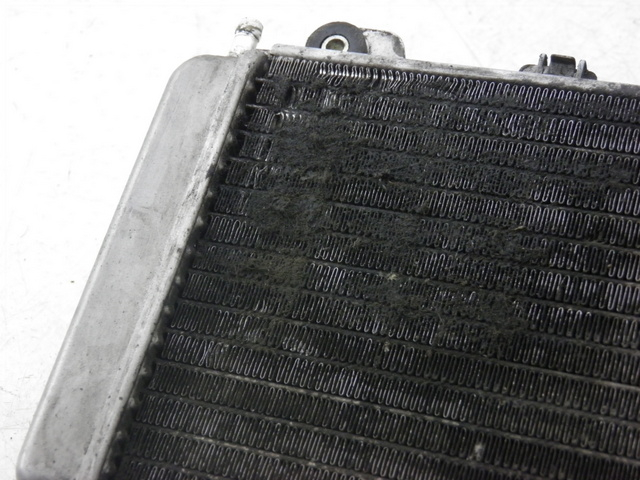 photo de RADIATEUR PIAGGIO X9 250 (2000 - 2002)