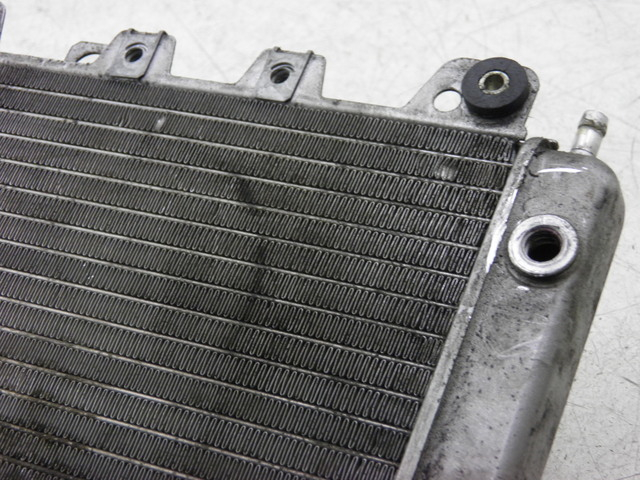 photo de RADIATEUR PIAGGIO X9 250 (2000 - 2002)