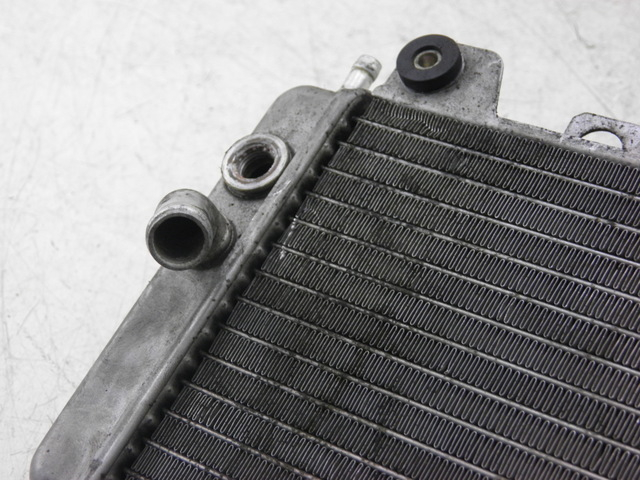 photo de RADIATEUR PIAGGIO X9 250 (2000 - 2002)