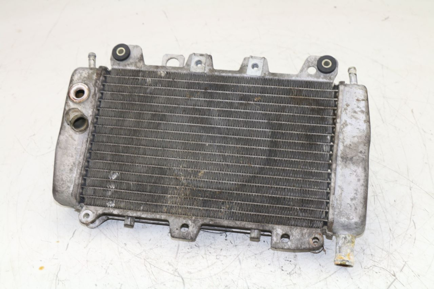 photo de RADIATEUR PIAGGIO X9 125 (2000 - 2003)