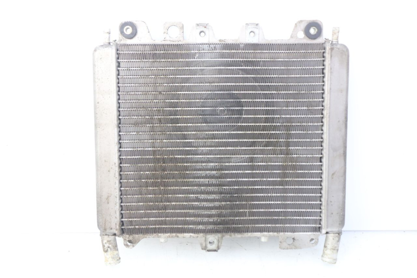 photo de RADIATEUR PIAGGIO X9 EVOLUTION 500 (2003 - 2005)