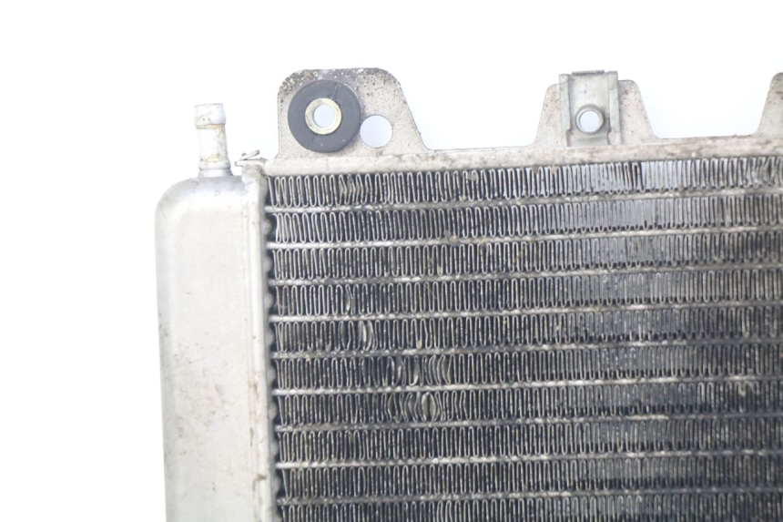 photo de RADIATEUR PIAGGIO X9 EVOLUTION 500 (2003 - 2005)
