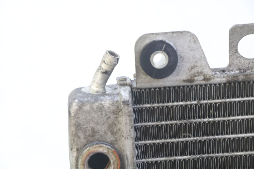 photo de RADIATEUR PIAGGIO X9 EVOLUTION 250 (2003 - 2007)