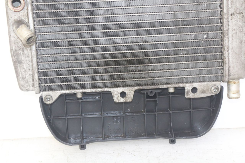 photo de RADIATEUR PIAGGIO X9 EVOLUTION 250 (2003 - 2007)