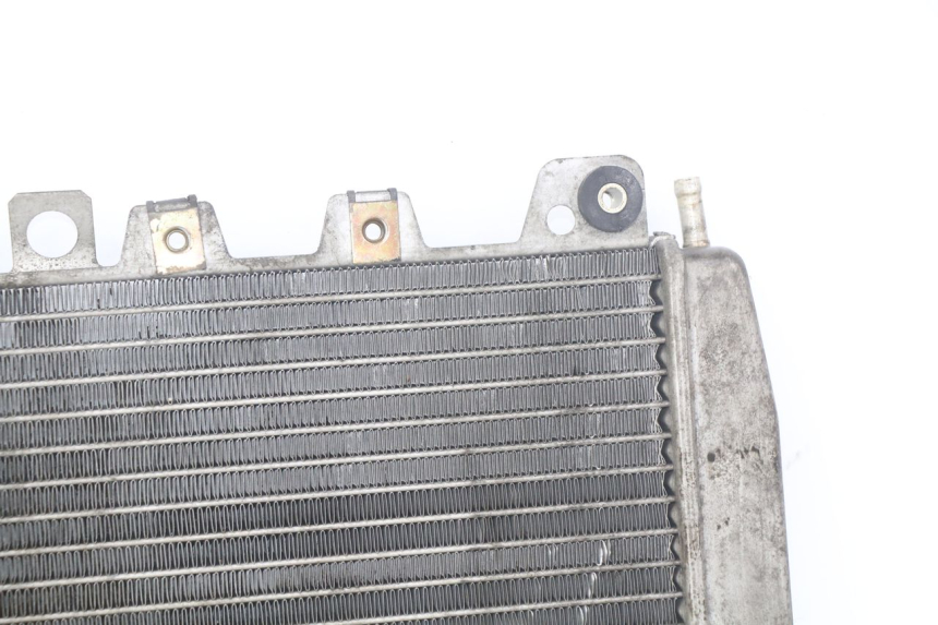 photo de RADIATEUR PIAGGIO X9 EVOLUTION 250 (2003 - 2007)