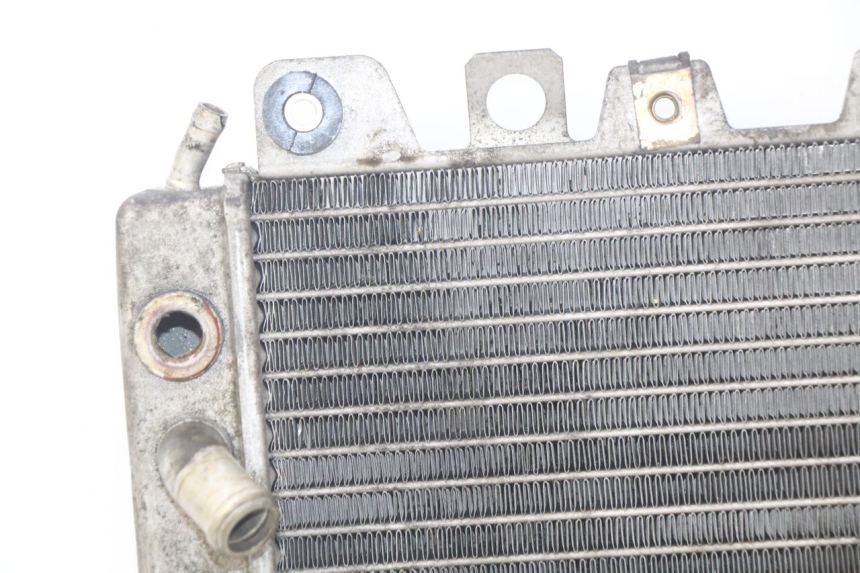 photo de RADIATEUR PIAGGIO X9 EVOLUTION 250 (2003 - 2007)