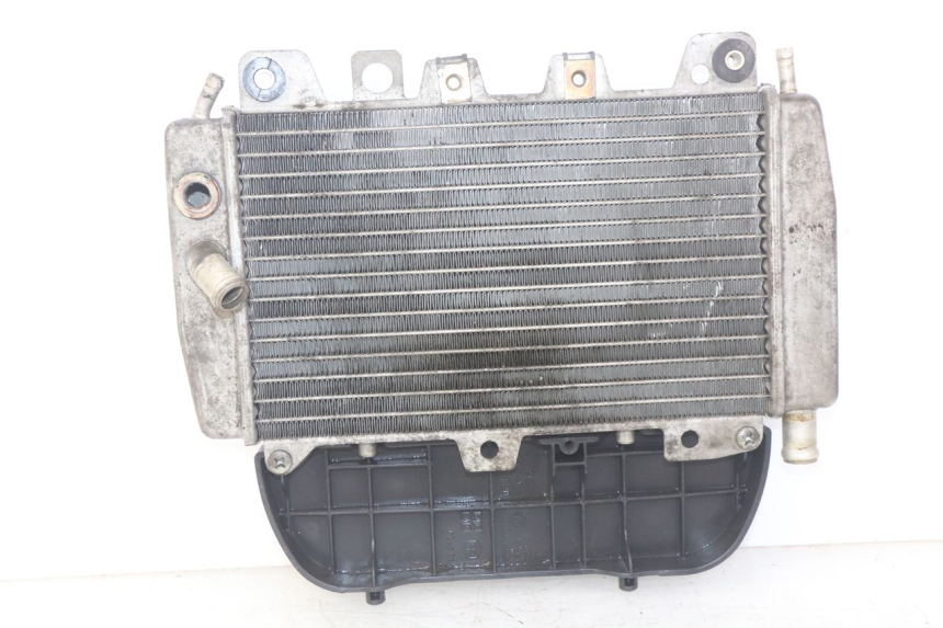 photo de RADIATEUR PIAGGIO X9 EVOLUTION 250 (2003 - 2007)