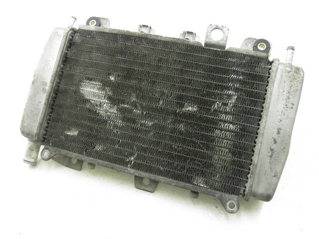 photo de RADIATEUR PIAGGIO X9 EVOLUTION 125 (2003 - 2007)