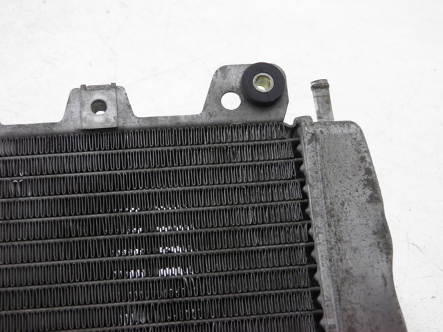 photo de RADIATEUR PIAGGIO X9 EVOLUTION 125 (2003 - 2007)